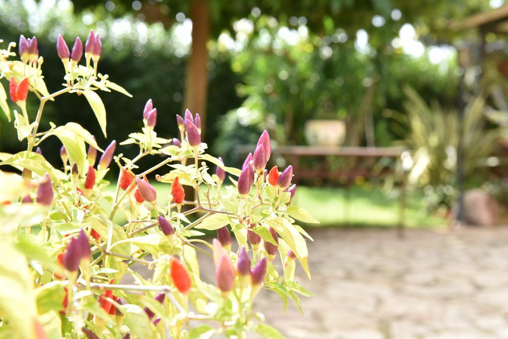 Casa di campagna Anastasia Club Mesagne